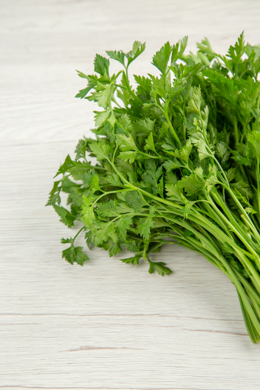 Daun parsley